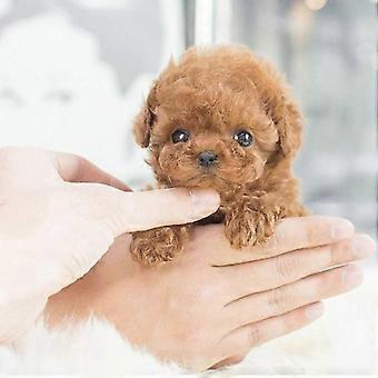 electronic toy robot puppy interactive for girls