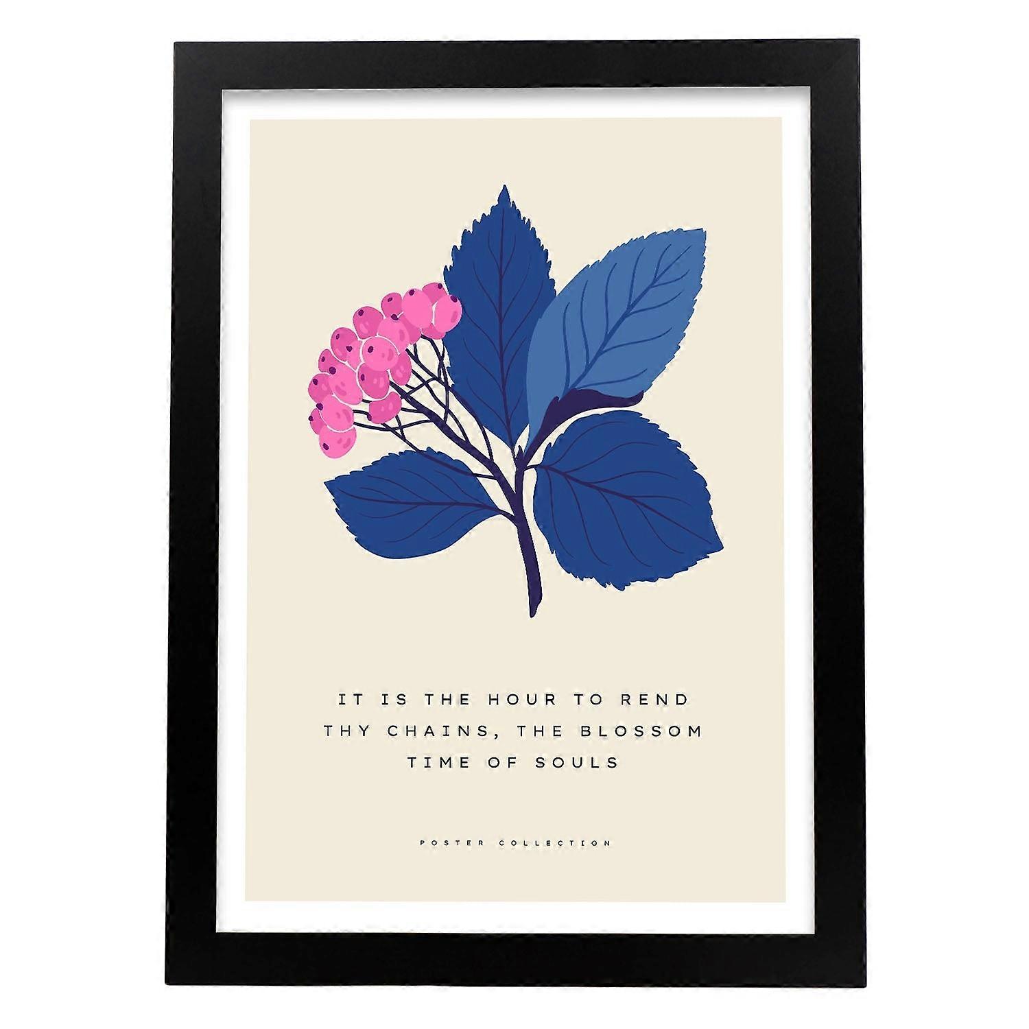 Affiche Baies d’Hypericum