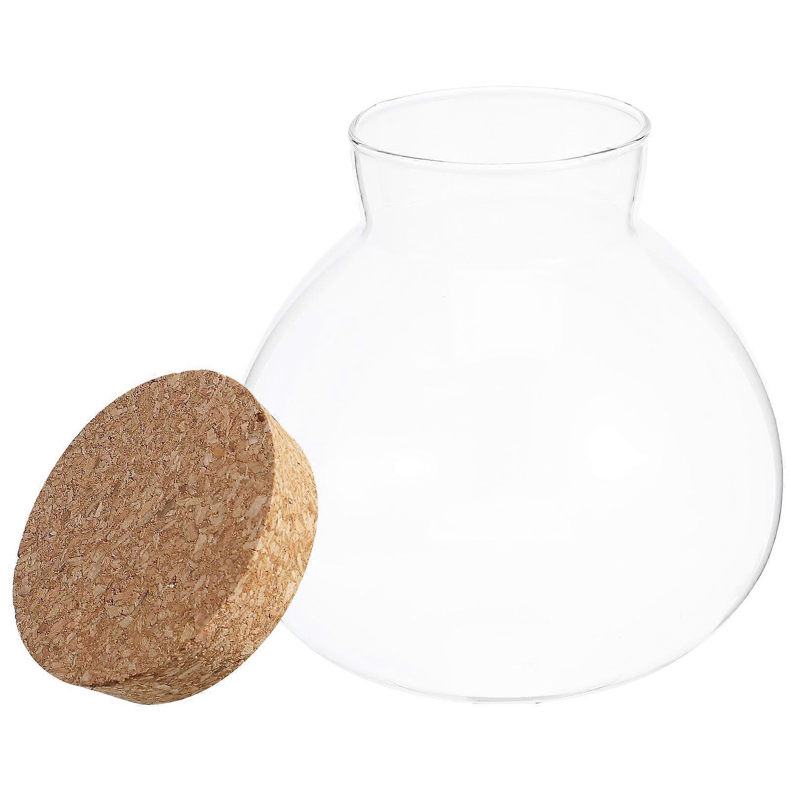 Glass Terrarium for Micro Landscape Creations 2Pcs with Lid