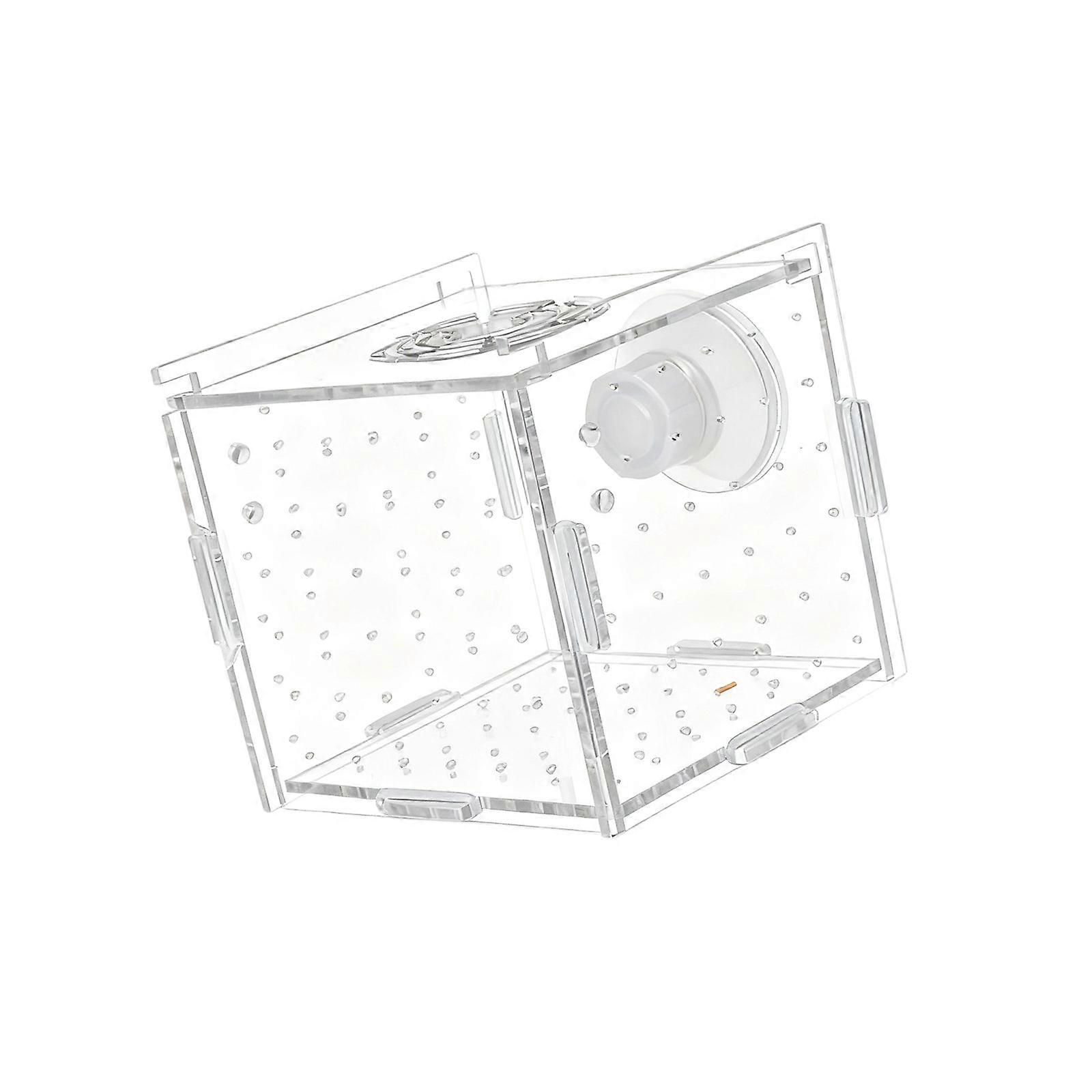 Aquarium Isolation Tanks for Fish and Shrimp Breeding and Hatching for Isolating Sick Fish or Hatching Eggs  S