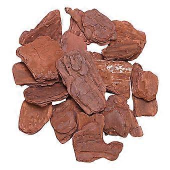 Reptiler Boks Furubark for Tank Regnskog Landskapsarbeid 1Pk Brun