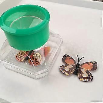 1pc Bambini Insetto Viewer 3X Lente d'ingrandimento Biologia Scienza Osservatore Educativo Esplorazione Gadget Giocattoli