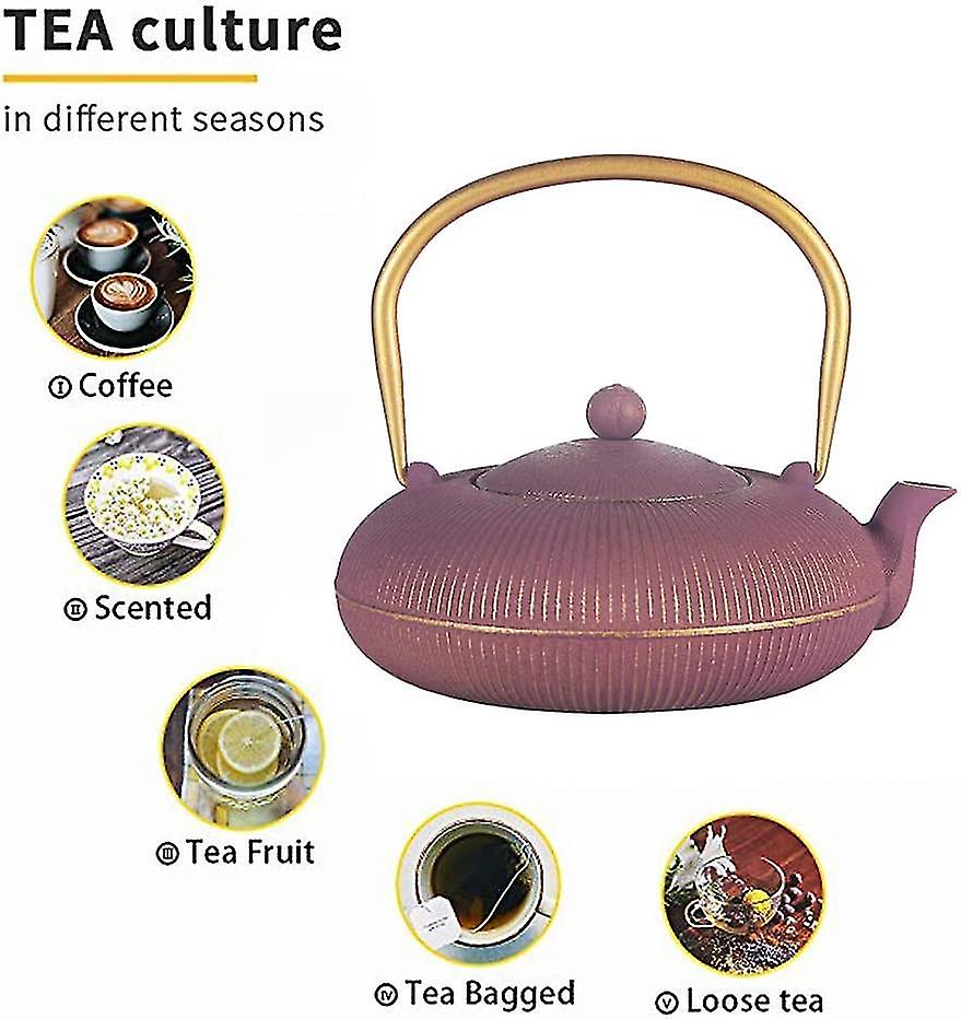 Cast Iron Tea Kettle, Japanese Tetsubin Teapot Covered With Enamel