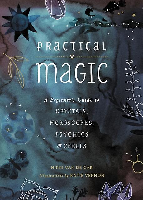 Practical Magic by Nikki Van de Car Paperback Book