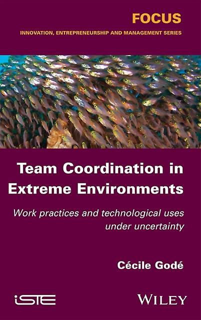 Team Coordination In Extreme Environments by Gode & Cecile University Lumiere Lyon 2 & France Paperback Book