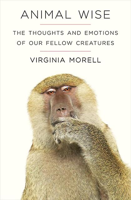 Animal Wise by Virginia Morell Paperback
