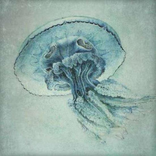 Blue Jelly Poster