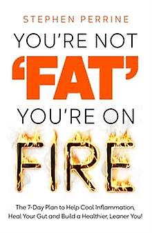 Youre Not Fat Youre On Fire by Stephen Perrine Hardback Book