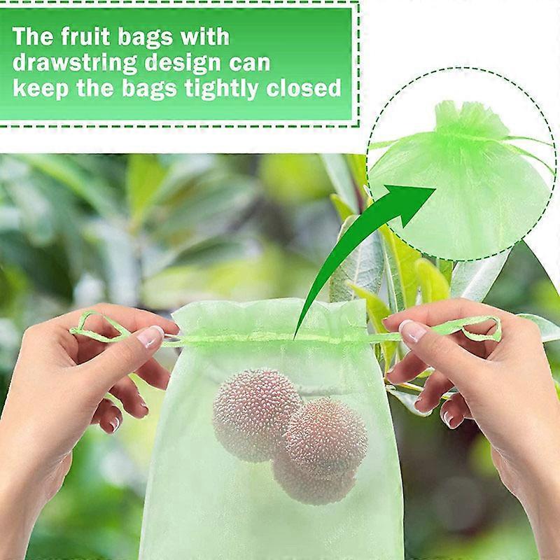 100 Fruit Protection Bags Net Bags Protection of Grape Bunches Against Birds and Insects Wasps Hornets 30 x 20 cm,green