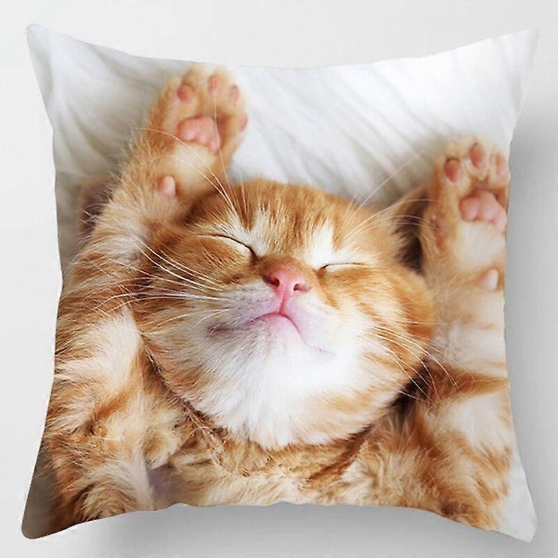 Cat Collection Pillowcase Home and Office Decor Square Pillowcase Design 1375jpjcjh