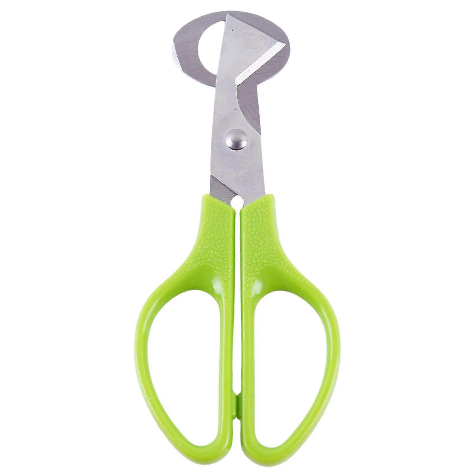 Quail Egg Scissors - Stainless Steel Shell Cutter & Opener