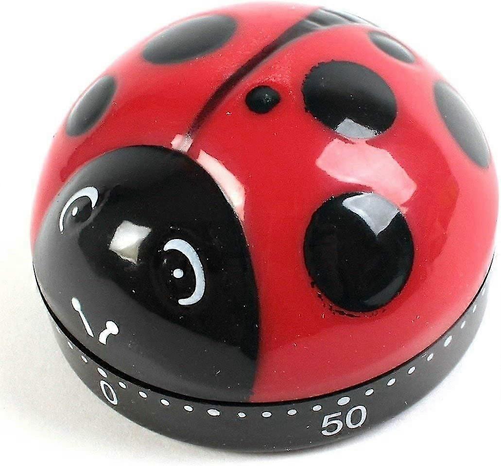 Kitchen Timer Beetle Timer Electronic Timer Color Box