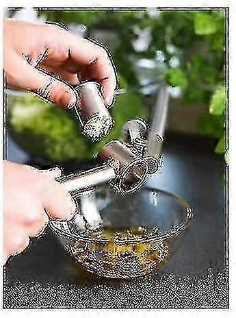 Garlic Press, Stainless Steel, 16cm