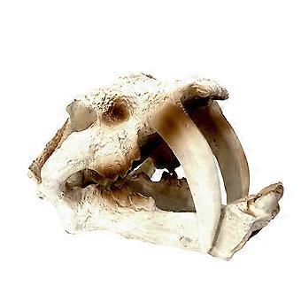 Kunstmatige Heilige Grot Schuilplaatsen FishTank Decoraties voor Aquarium Terrarium Garnalen Schuilplaatsen Dinosaurus Ornament