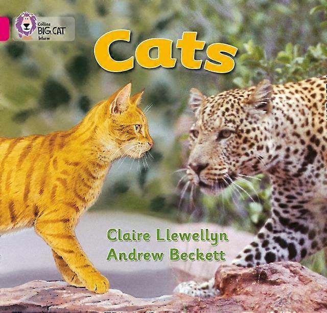 Cats by Claire Llewellyn Paperback