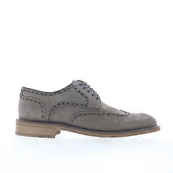 Steve Madden Elmsford Wingtip- und Brogue-Oxfords und Schnürschuhe für Herren