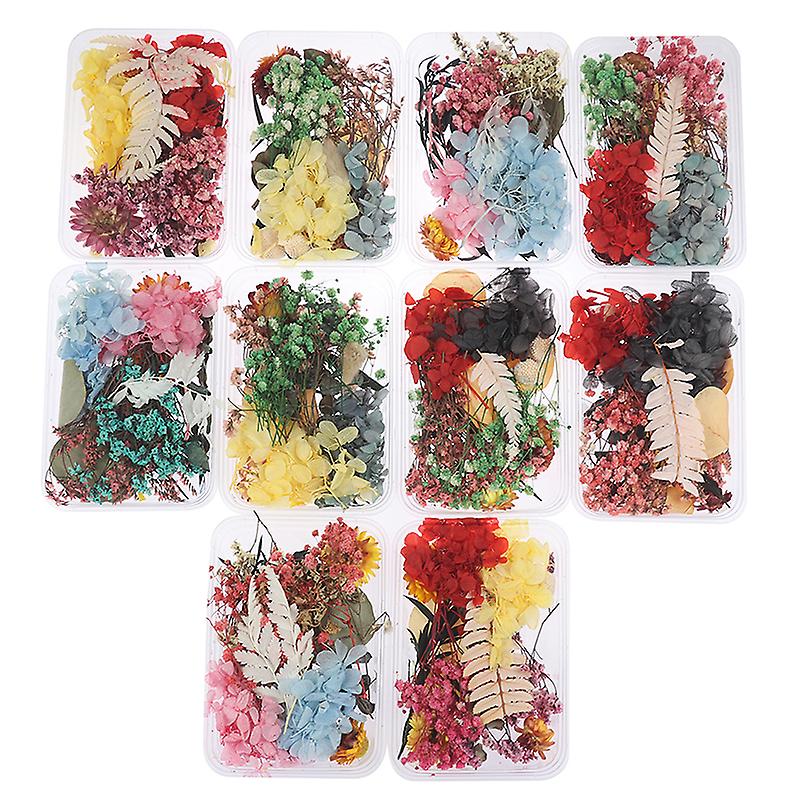מערבבים יפה פרחים יבשים אמיתיים טבעיים פרחוניים ליצירה אמנותית שרף אלבום