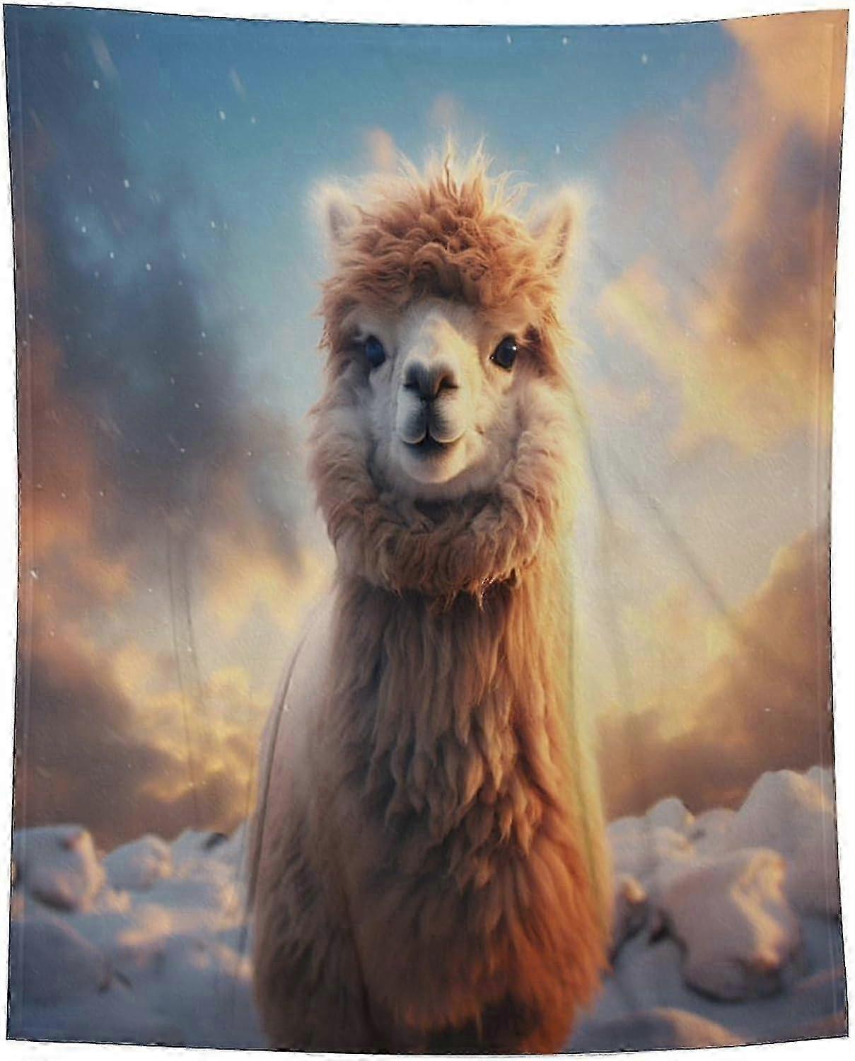 t1349 Blanket Alpaca Flannel Throw Blanket, Super Soft Fuzzy Warm, Lightweight Fluffy Plush Blanket Alpaca Blanket bn1349