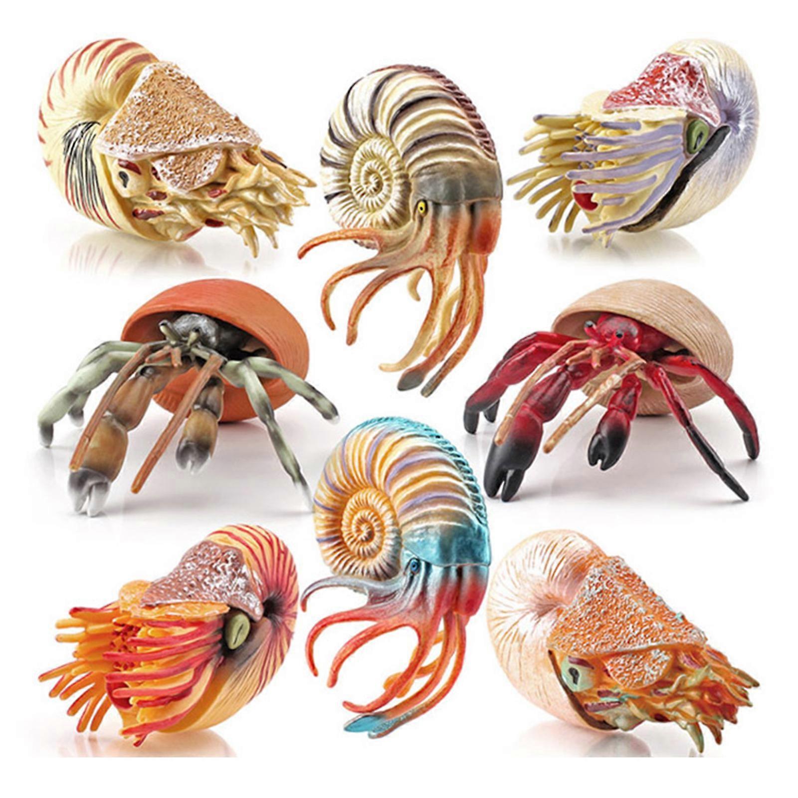 Simulation Marine Animal Nautilus/Hermitcrab Figurine Resin Model Interactive Learning Props Automobile Decoration