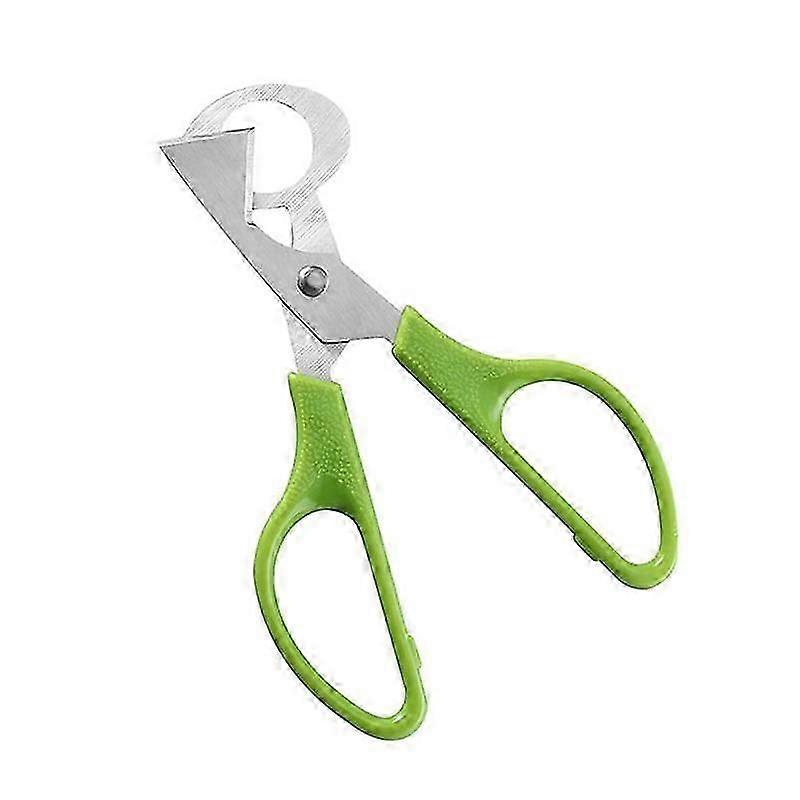 Pigeon Quail Egg Scissors Cracker Opener Cigar Cutter Steel Neu FAST Tool