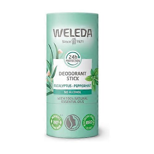 Eucalyptus deodorant stick 50 g (Eucalyptus)