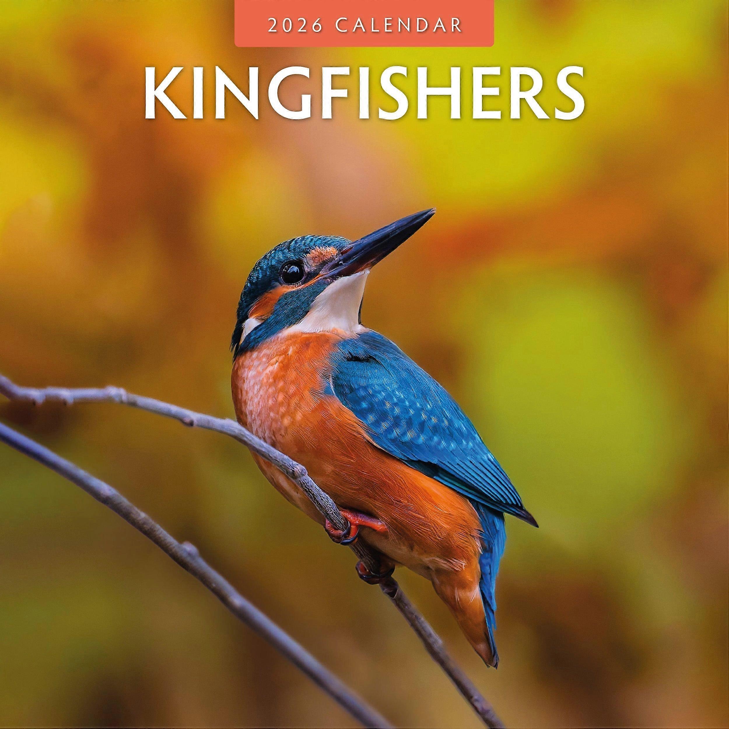 Red Robin Kingfisher Calendar 2026
