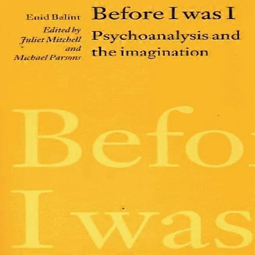 Before I was I:  - Psychoanalysis and the  - Imagination