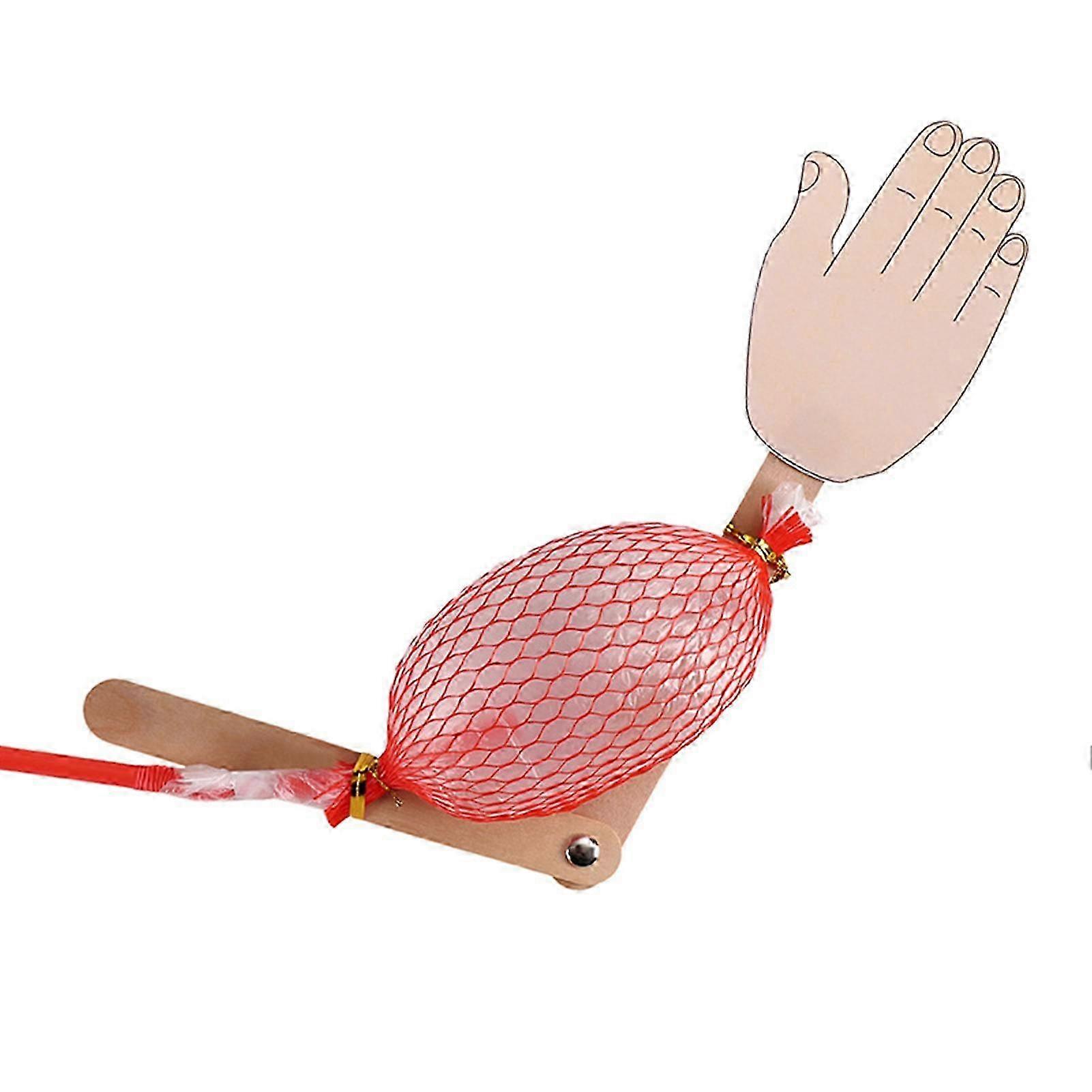 DIY Wooden Arm Anatomy Learning Kit