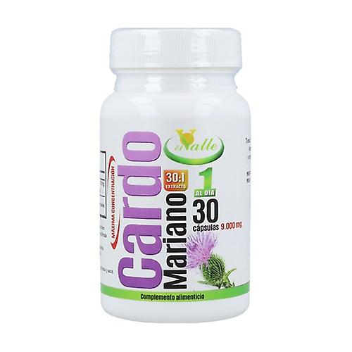 Milk thistle 30 capsules