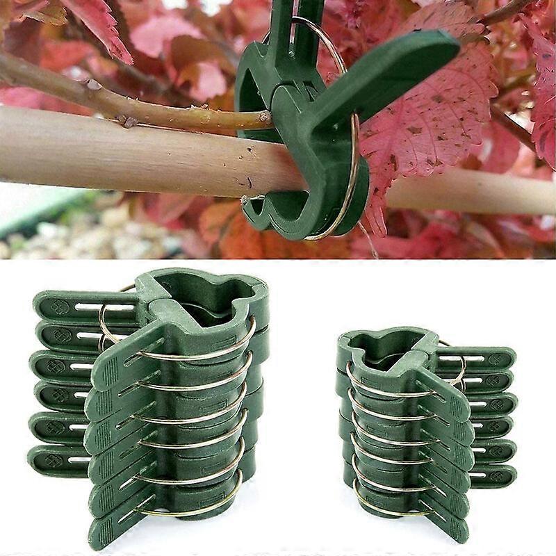100 Τεμ Κλιπ Plantes Pinces pour Plantes Grimpantes Attache Tomates Επαναχρησιμοποιήσιμο Vert 50 Grandes+50 Petits