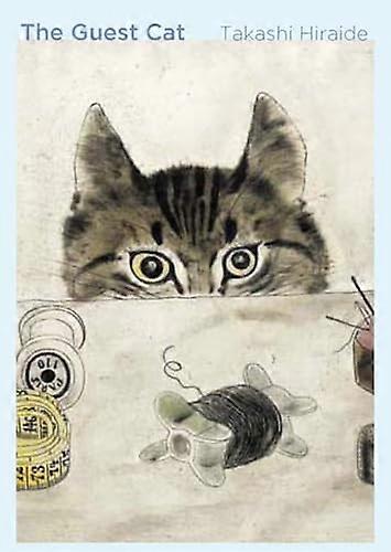 Konuk Kedi
