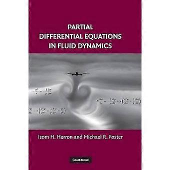 Partielle Differentialgleichungen in der Fluiddynamik
