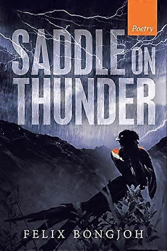 Sattel auf Thunder