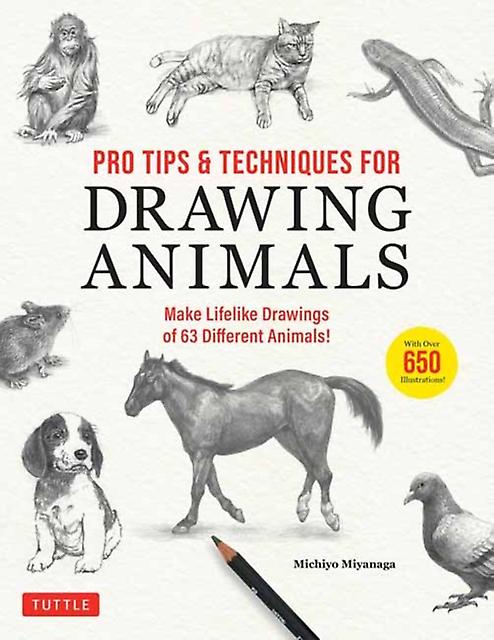 Pro Tips &amp Techniques For Drawing Animals by Michiyo Miyanaga Paperback