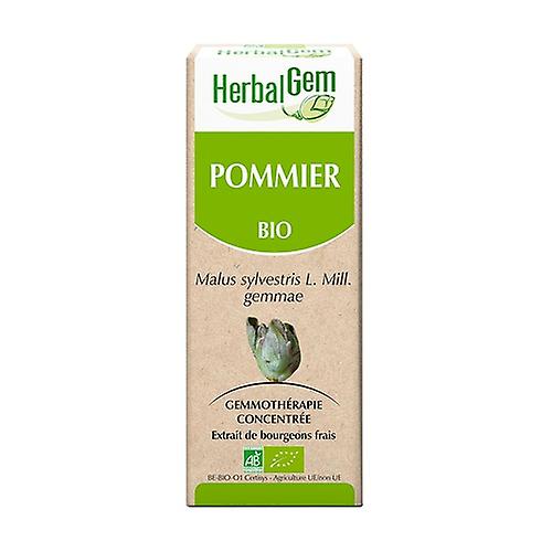 Organic apple tree 50 ml