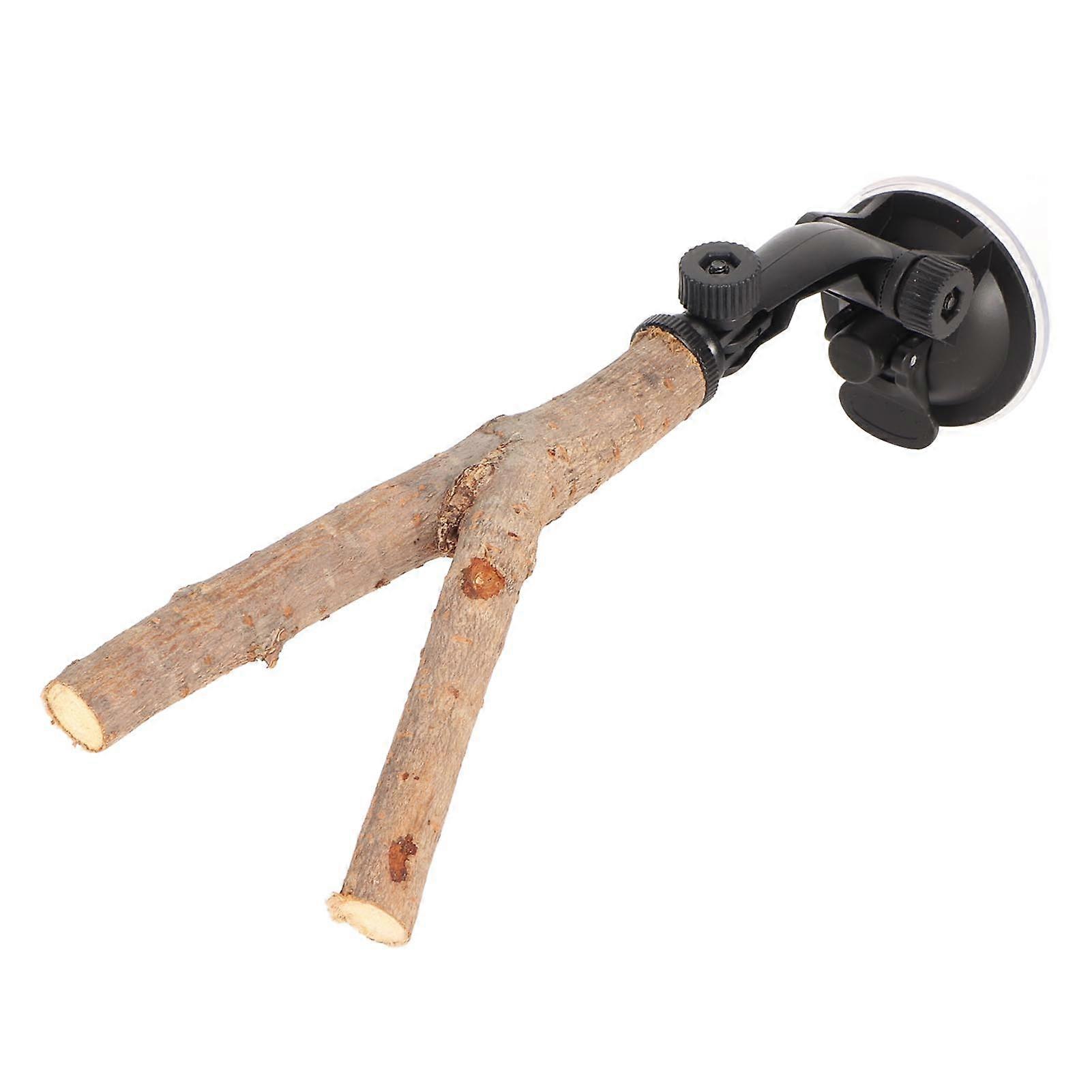 Perchoir interactif en bois antidérapant avec ventouses pour oiseaux de petite et moyenne taille (15 cm)