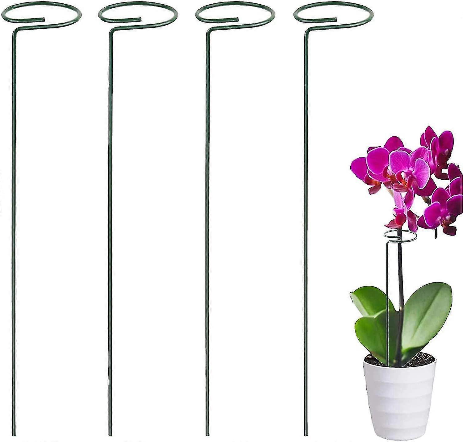 Mini traliccio da giardino per piante Set di 4 picchetti di supporto regolabili per fiori e ortaggi