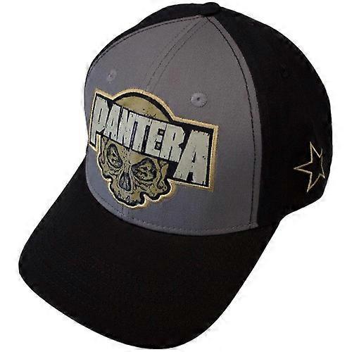 Pantera Unisex Adult Skull Mesh Back Trucker Cap
