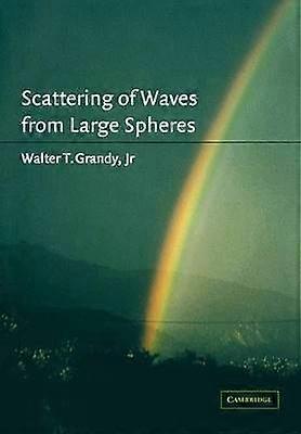 Scattering of Waves from Large Spheres