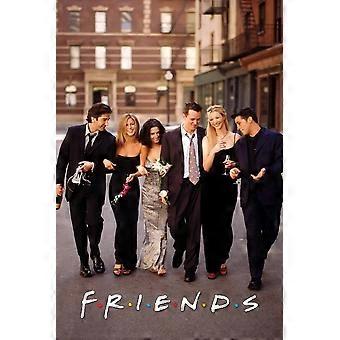 FriendsStress Reliever Jigsaw Puzzle P2793