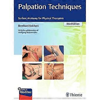 Palpatietechnieken: oppervlakteanatomie voor fysiotherapeuten