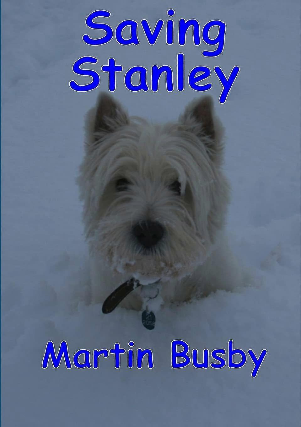 Saving stanley an adventure