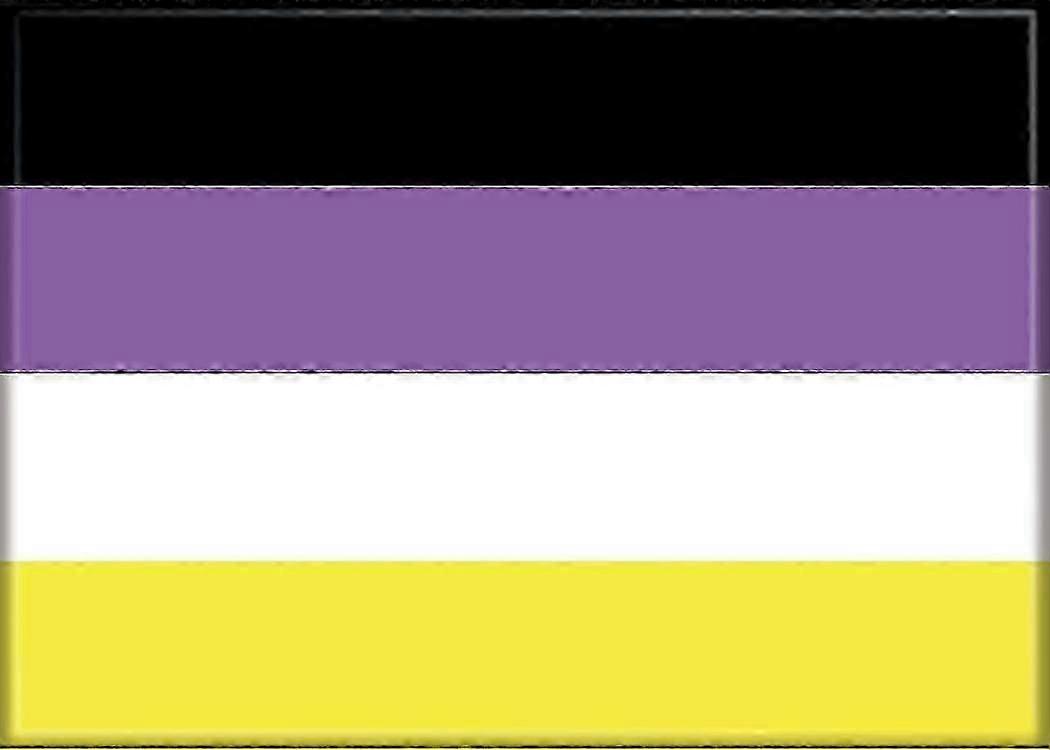 Nonbinary Flag Polyester Standard