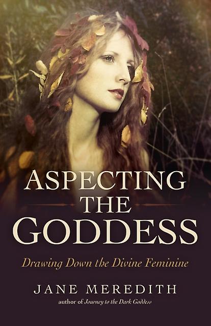 Aspecting The Goddess by Jane Meredith Paperback