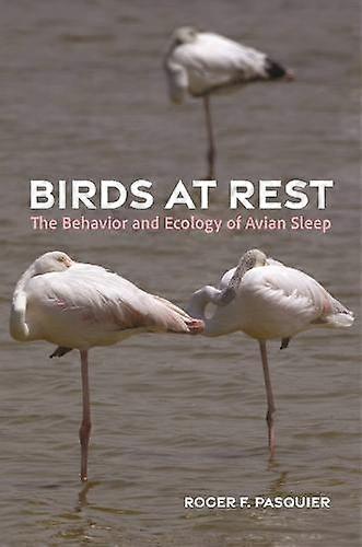 Birds At Rest by Roger Pasquier Paperback Book