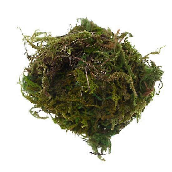 1 Bag Simulation Moss Vibrant Realistic Doll House Artificial Moss Green Plants for Miniature Scenes DIY Projects