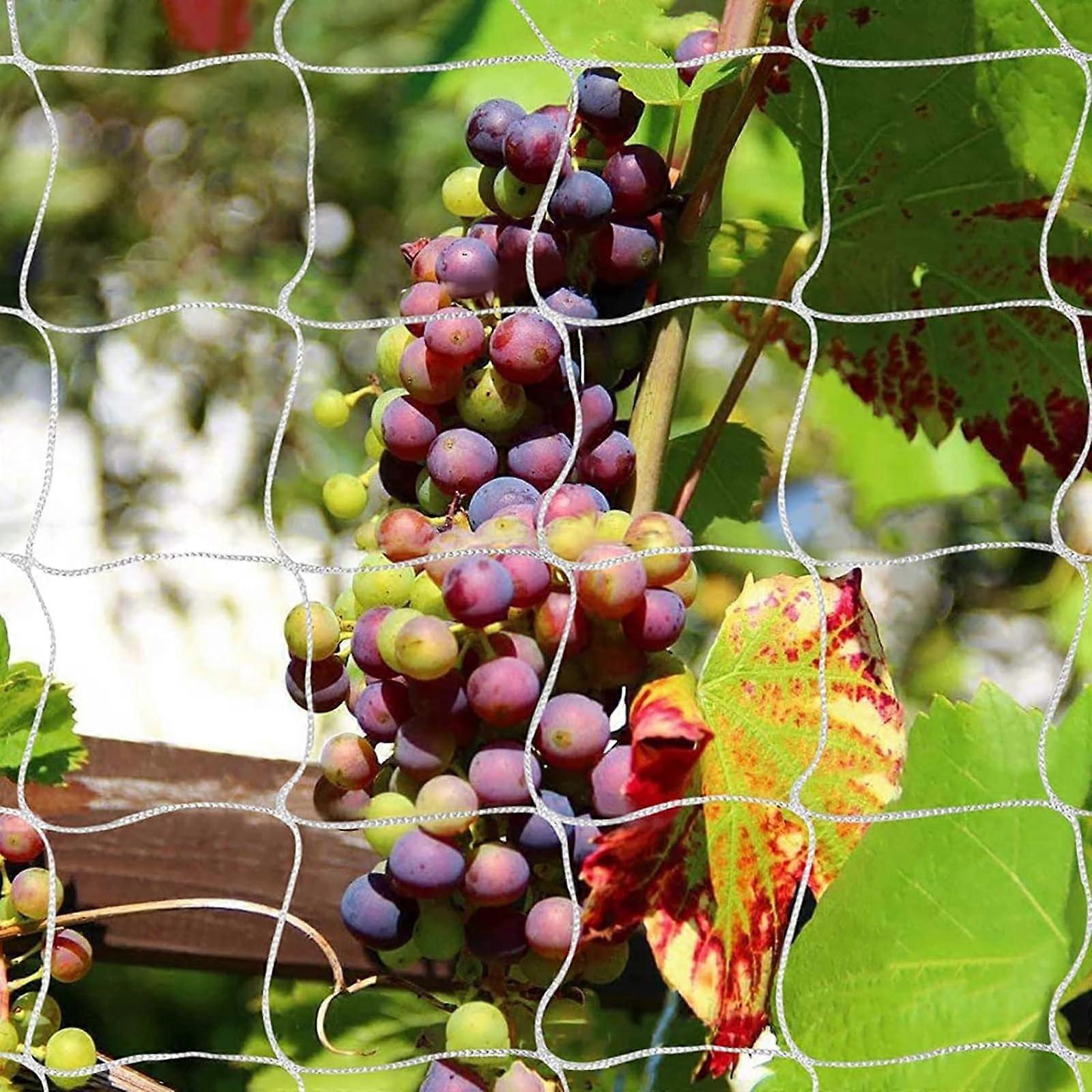 Trellis Netting for Plants, 5 Ft By 30 Ft, Polyester 3.5-Inch Square Mesh, 2-Pack