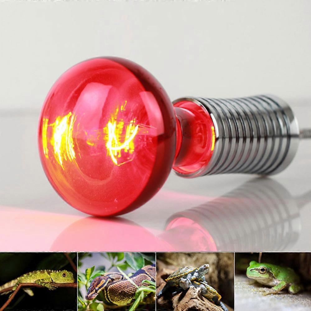 Reptile Lamp Night Infrared Heating Lamp Reptile Lizard Warming Insulating Bulb