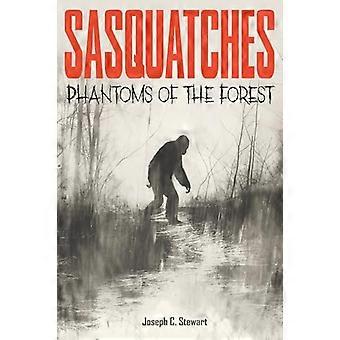 Sasquatches Phantoms of the Forest