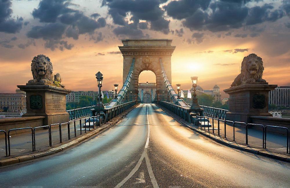 Wall Mural Bridge in Budapest